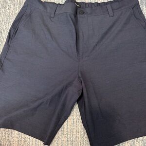 Banana Republic Dark Blue Flat Front Shorts